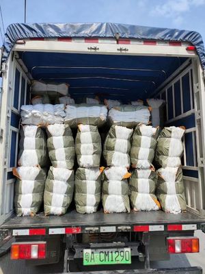 Dauerhafte Taschenspulverfedern für Sofa- und Kissenstützen