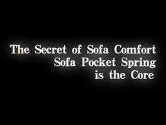 Sofa-Taschenfeder-Einheit