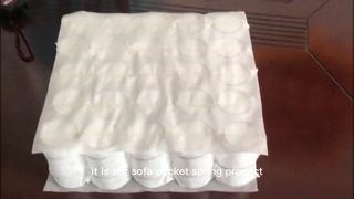 Sofafedern
